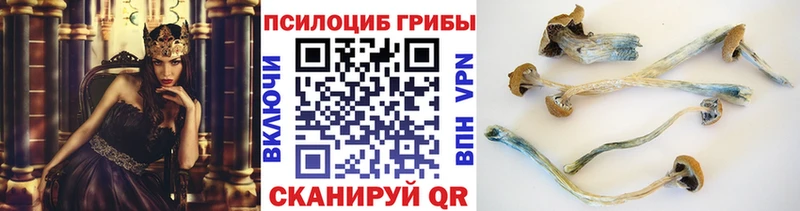 Псилоцибиновые грибы Magic Shrooms даркнет сайт Яблоновский